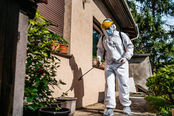 Best Mosquito Control Services  in Hughes Springs, TX