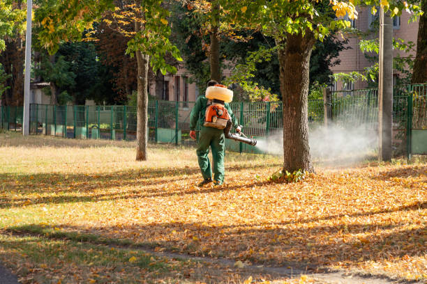 Best Rodent Control Near Me  in Hughes Springs, TX